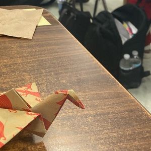 Meet your Posher, Dylan